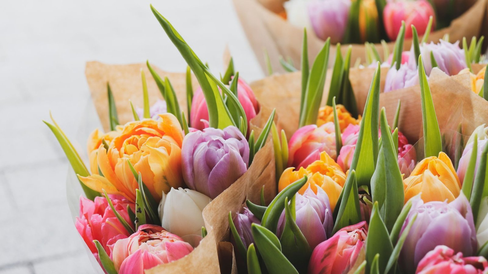 Freshly wrapped tulip bouquets in vibrant shades of orange, pink, purple, and white, arranged in brown paper wrapping.